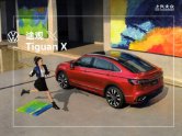 VW TIGUAN X 2020.11 大众途观X cn cat