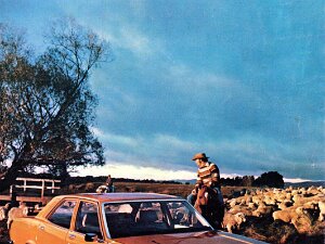 LEYLAND P76