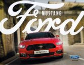 2017 Mustang DK