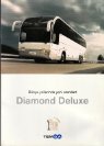 2008 Temsa Daimond Deluxe (kew)