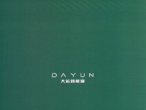 DAYUN GROUP