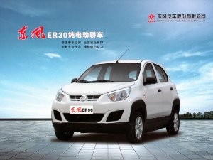 OTHER DONGFENG