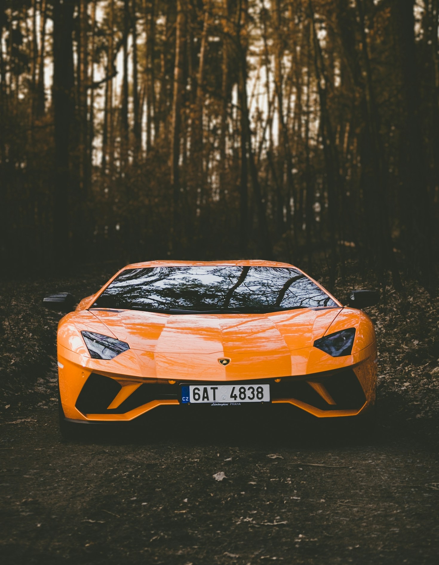 Preserving the Legacy of Classic Cars Through Media